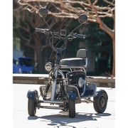 ELEMOs4 REBORN ブラックシルバー【性能等確認適合車両・免許不要・特定小型四輪】 E4MR