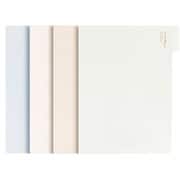 A4 クリアファイル マチ付 4色セット DLI-NRC541AS4S