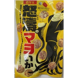 怒涛のマヨいか 48g