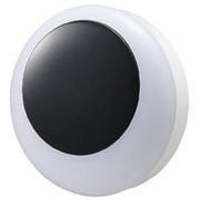 24時間タイマーナイトライト 自動点灯/消灯をタイマー設定 4段階調光機能 電球色相当 コンセント式 NASWL76