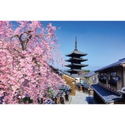 10-1505 桜と望む八坂の塔（京都） [ジグソーパズル 1000ピース]