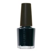 23158 [SHAREYDVA カラー No.01 ブラック（丸筆）]