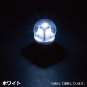 528704 [LED電球タイプソケット式バルブ DC24V専用 口金サイズ BA15S 12W球タイプ 1個 トラックバルブ シングル球 ホワイト]