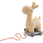 プルトイ ラリー 2BD-4628289