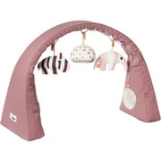 アクティビティジム ダークパウダー 2BD-40721