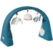 アクティビティジム ダークブルー 2BD-40722