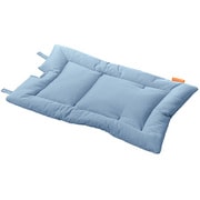 クッションダスティブルー