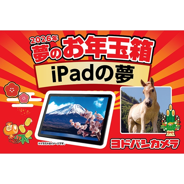 iPadの夢