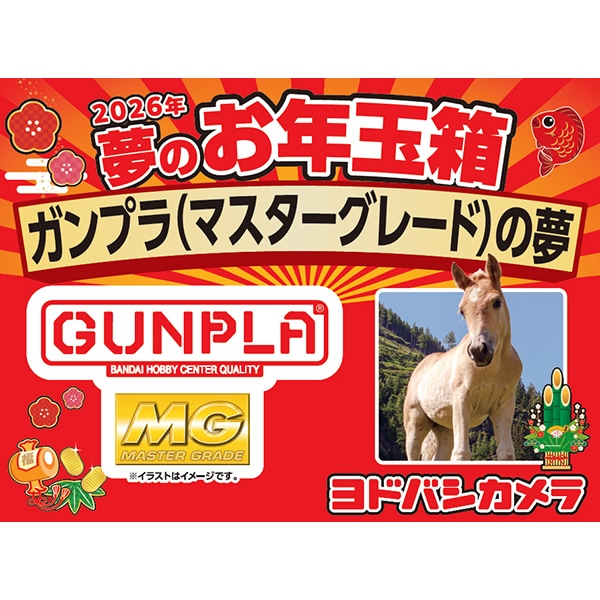 ガンプラ(マスターグレード)の夢