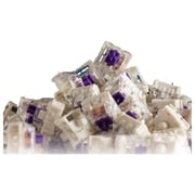 Glorious Kailh Purple メカニカルキーボードスイッチ 120個入 KAI-PURPLE