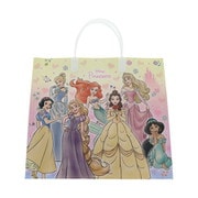 5362429H ハッピーバッグ ディズニープリンセス