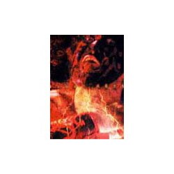 Amazon.co.jp: ︎ THE GREAT MUTA COMPLETE DVD-BOX 4枚組