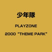 PLAYZONE2000"THEME PARK"