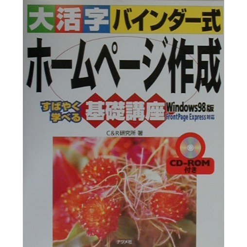 大活字バインダー式 ホームページ作成基礎講座 Windows98版 [単行本]