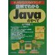 図解でわかる Javaのすべて―ネット時代のプログラミング [単行本]
