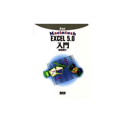 EXCEL5.0入門 [単行本]