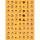 マックな人〈2〉(Mac Fan BOOKS) [単行本]
