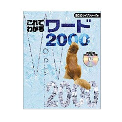 これでわかるワード2000 [単行本]