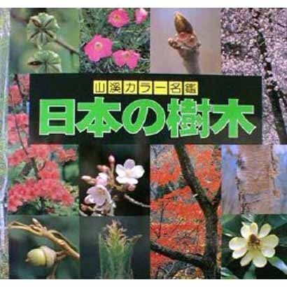 日本の樹木（山溪カラー名鑑） [図鑑]
