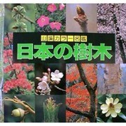 日本の樹木（山溪カラー名鑑） [図鑑]