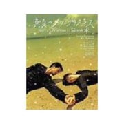 真夏のメリークリスマス DVD-BOX