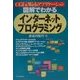 図解でわかる インターネットプログラミング [単行本]