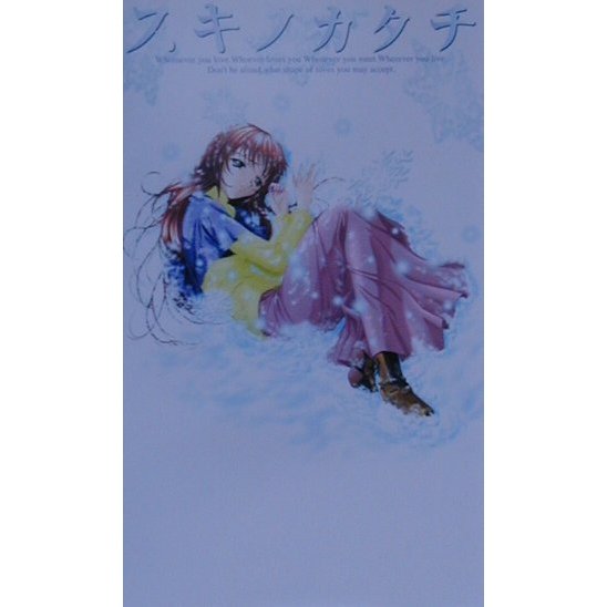 スキノカタチ(パンプキンノベルズ) [新書]