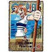 ONE PIECE ワンピース piece.3