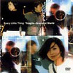 Every Little Thing／fragile～Graceful World [DVD]