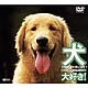 シンフォレストDVD 犬、大好き! Dogs, Be Happy! [DVD]