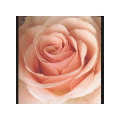 サニーデイ・サービス／Best Flower -B side collection-
