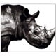 Mr.Children／Mr.Children 1992-1995