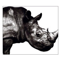 Mr.Children／Mr.Children 1992-1995
