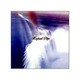 Raphael／Raphael Clips [DVD]