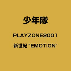 ヨドバシ.com - PLAYZONE2001