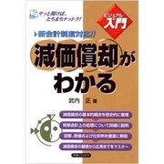ビジュアルde入門 減価償却がわかる(実日ビジネス) [単行本]