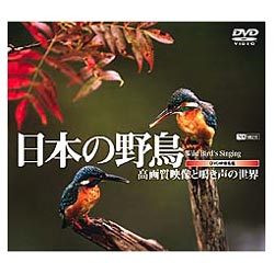 シンフォレストDVD 日本の野鳥/映像と鳴き声の世界 Wild Bird's Singing [DVD]