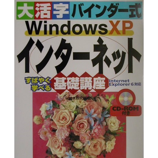 大活字バインダー式 WindowsXPインターネット基礎講座―Internet Explorer6対応 [単行本]