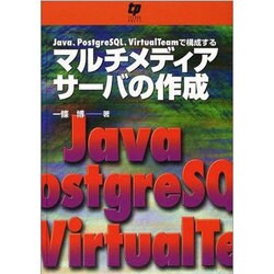 Java、PostgreSQL、VirtualTeamで構成 [単行本]