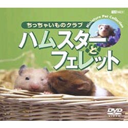 シンフォレストDVD ハムスターとフェレット/ちっちゃいものクラブ [DVD]