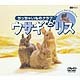シンフォレストDVD ウサギとリス/ちっちゃいものクラブ [DVD]
