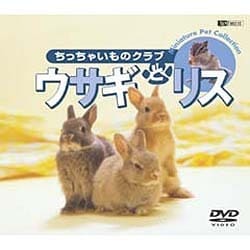 シンフォレストDVD ウサギとリス/ちっちゃいものクラブ [DVD]