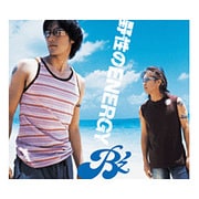 野性のENERGY