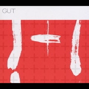 GUT 1+1