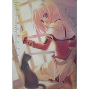 Farbereise―Naruse Chisato Illustrations [単行本]