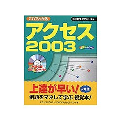これでわかるアクセス2003 [単行本]