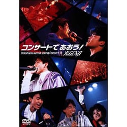 光GENJI DVD 「コンサートで会おう！」 DVD「光GENJI コンサートであおう！」