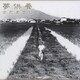 さだまさし／夢供養