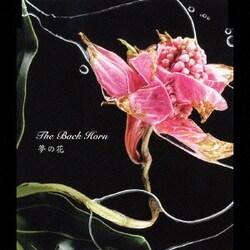 THE BACK HORN／夢の花