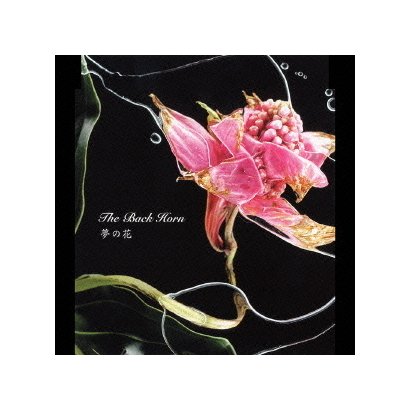 THE BACK HORN／夢の花